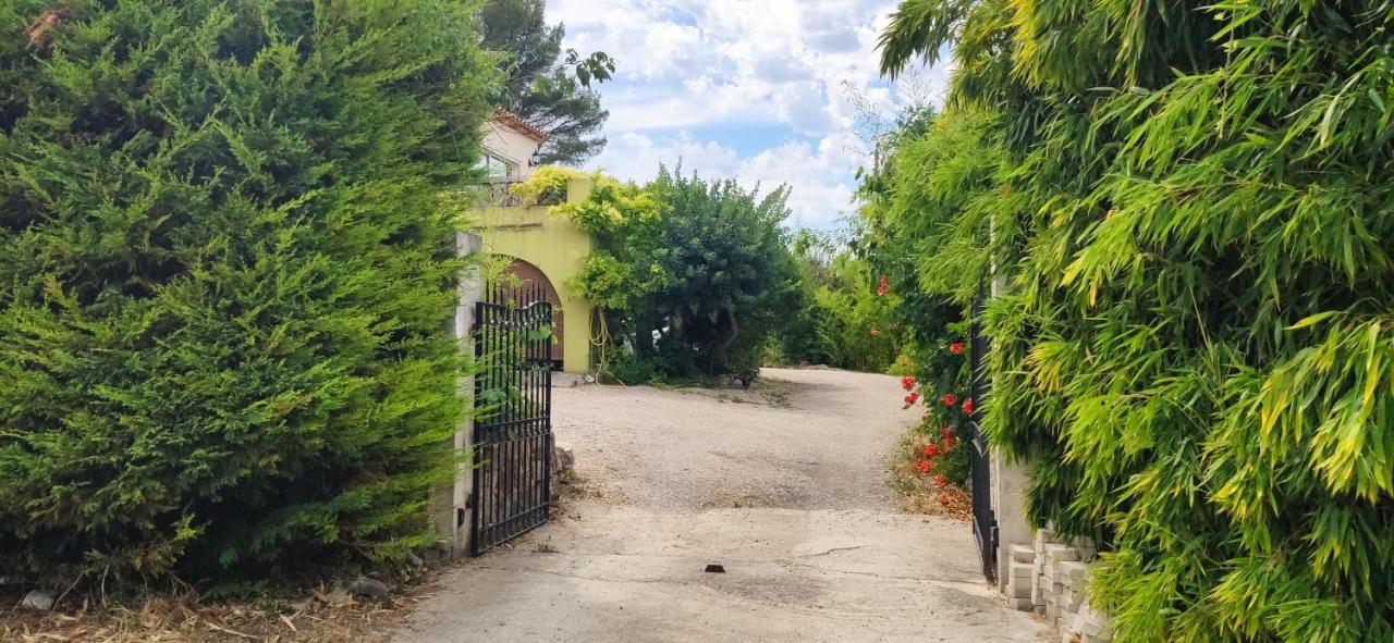 Bambou Entre Mer Et Montagnes Chateauneuf-Grasse Exteriör bild